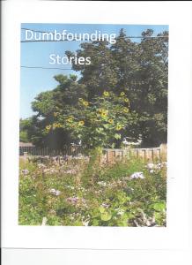 dumbfounding stories #6