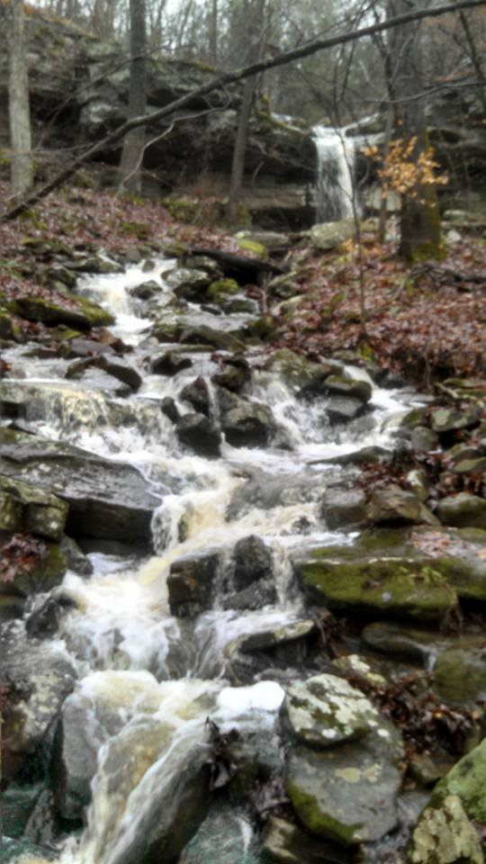 10505501_1158304030893251_7291271848840460552_n