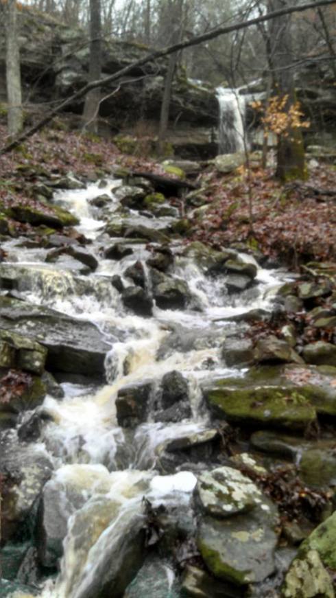 10505501_1158304030893251_7291271848840460552_n